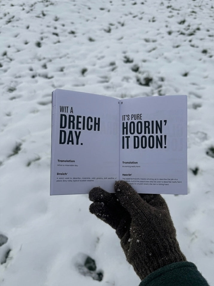 A Wee Book Of Scottish Insults